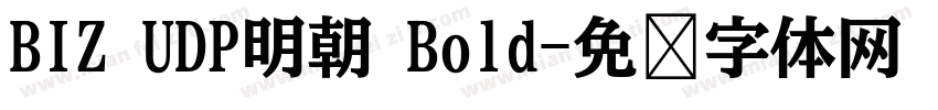 BIZ UDP明朝 Bold字体转换